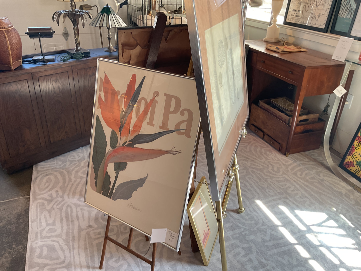 Framed Posters and Prints