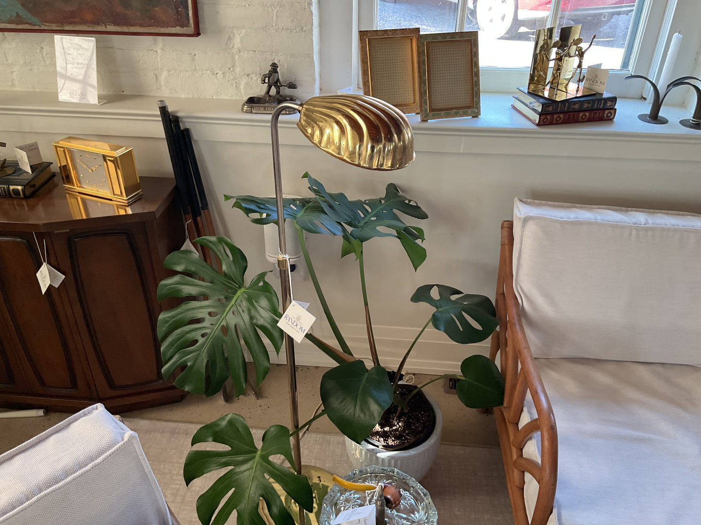 Brass Clam Shell Reading Lamp