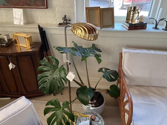 Brass Clam Shell Reading Lamp